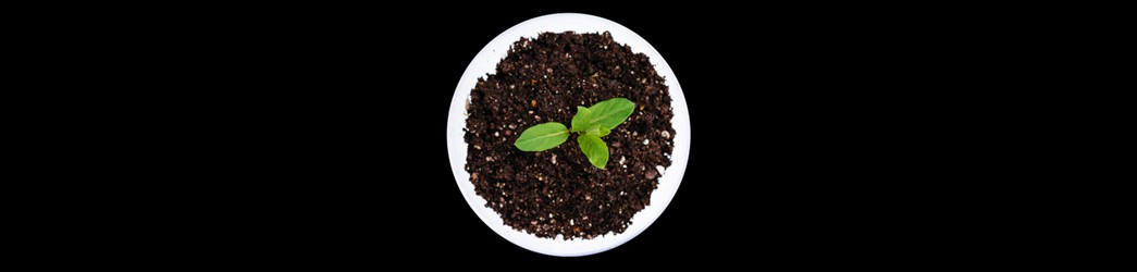 Deloitte Australia Client Financial Reporting Update