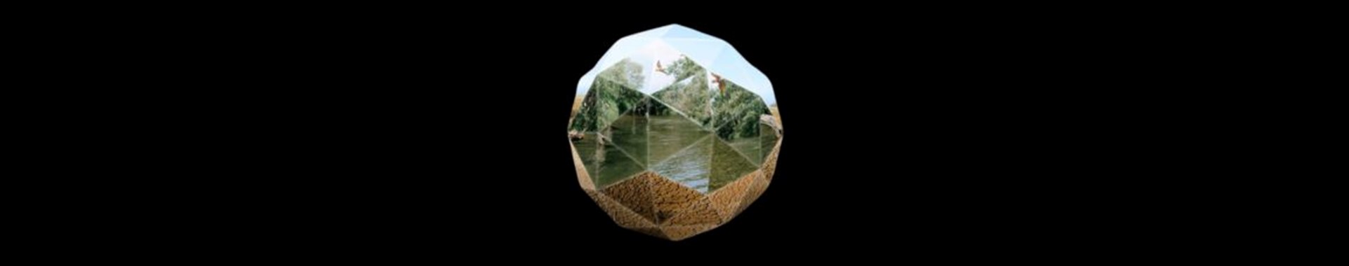Climate Risk Integrator​ 